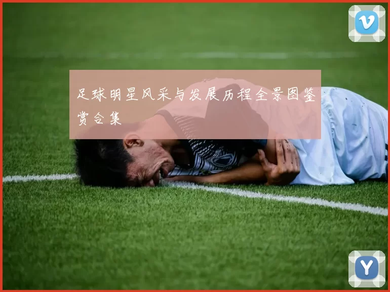 足球明星风采与发展历程全景图鉴赏合集