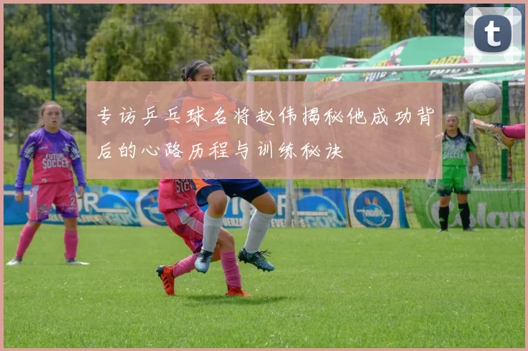 专访乒乓球名将赵伟揭秘他成功背后的心路历程与训练秘诀