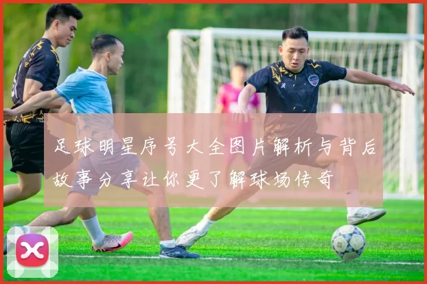 足球明星序号大全图片解析与背后故事分享让你更了解球场传奇